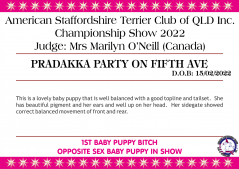 Class 1a - Pradakka Party On Fifth Ave.png